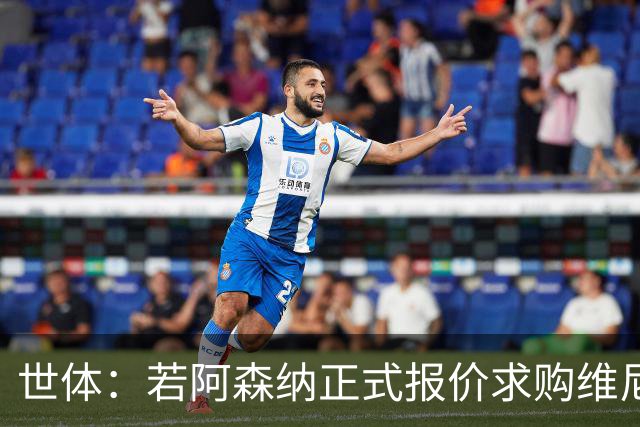 世体：若阿森纳正式报价求购维尼修斯，追小蜘蛛可能性将大幅降低