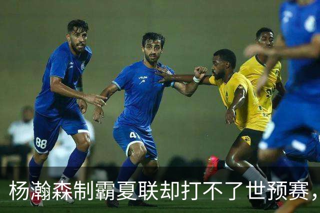 杨瀚森制霸夏联却打不了世预赛，究竟是谁的错？